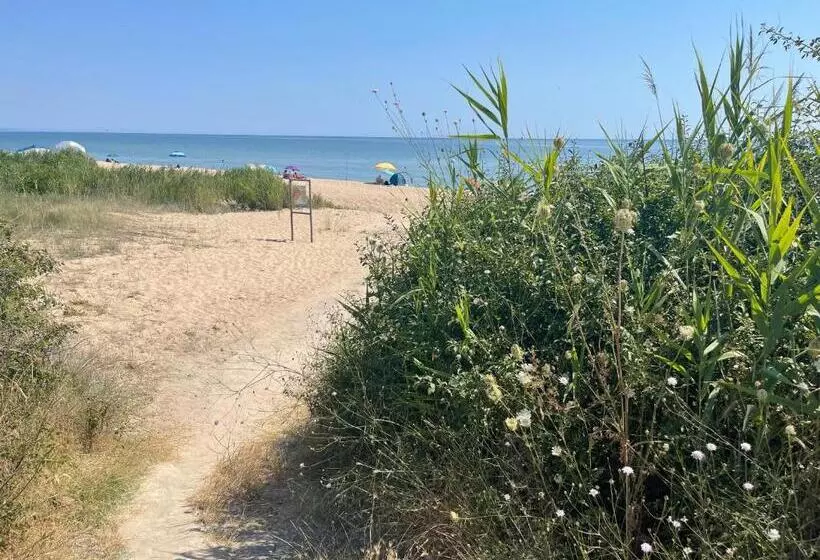 リゾートホテル Complex Terazini