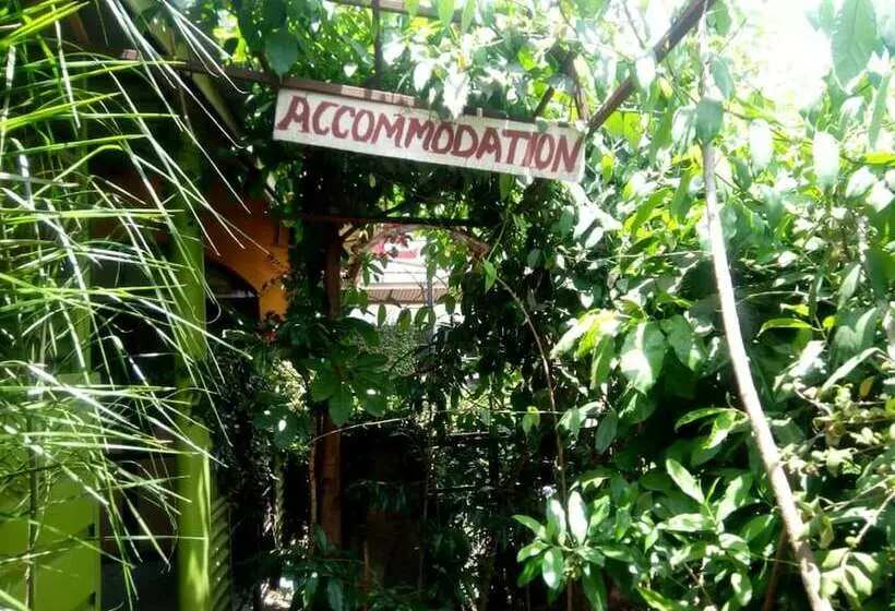 C.e.o Motel