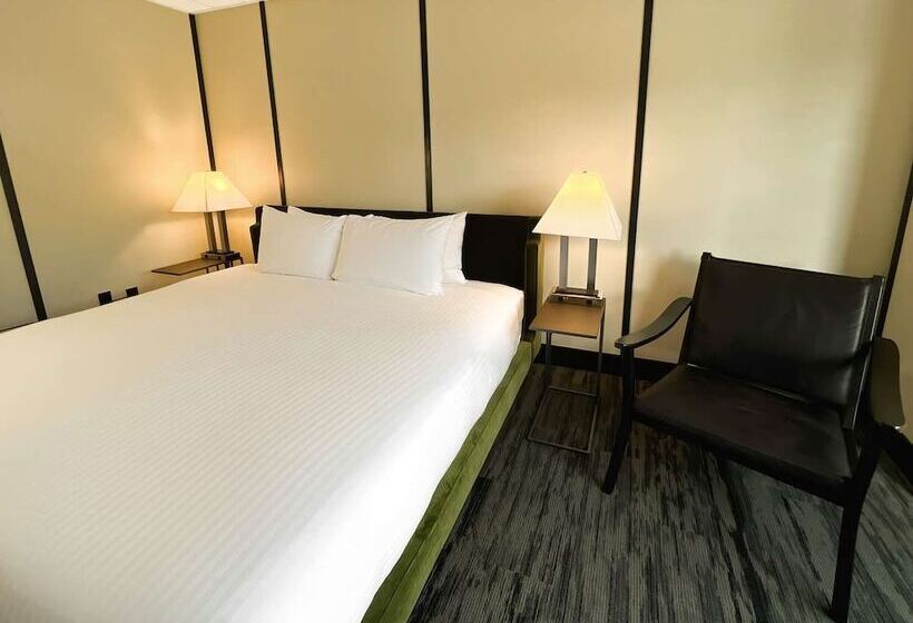 Hotel Midnight Sun, A Coast