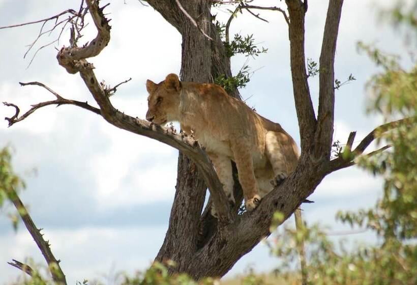 هتل Mara Intrepids Tented Camp