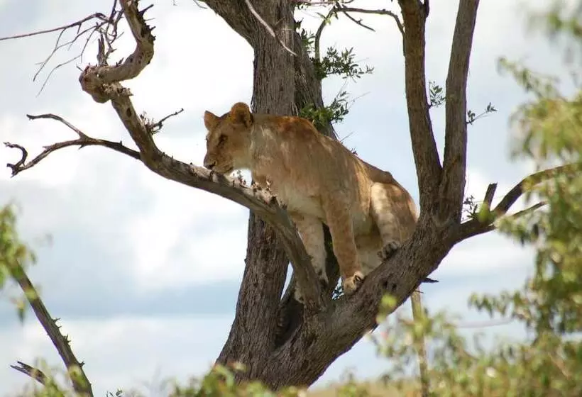 هتل Mara Intrepids Tented Camp