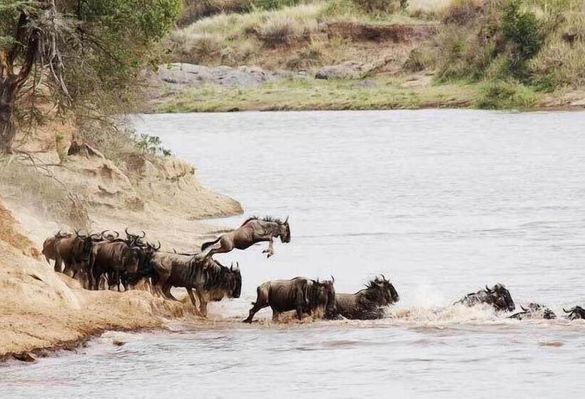 هتل Mara Intrepids Tented Camp