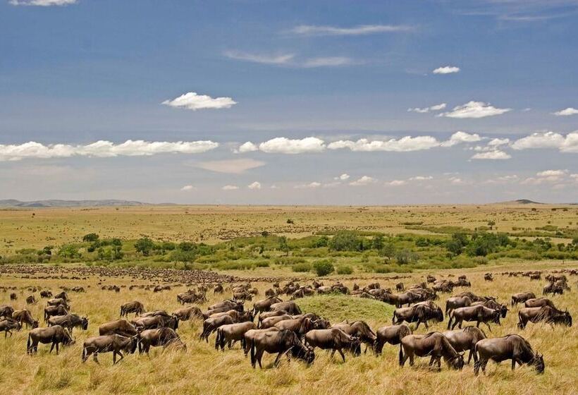 هتل Mara Intrepids Tented Camp