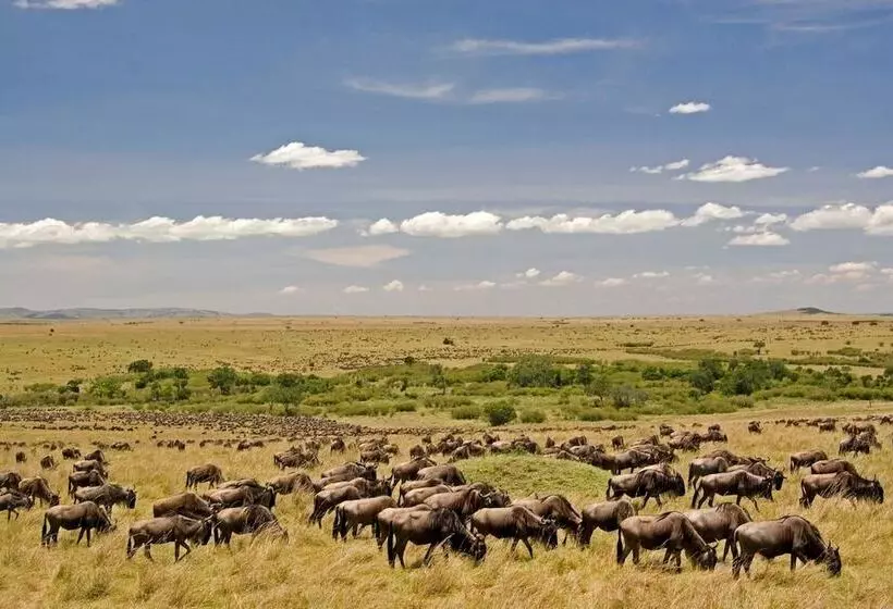 هتل Mara Intrepids Tented Camp