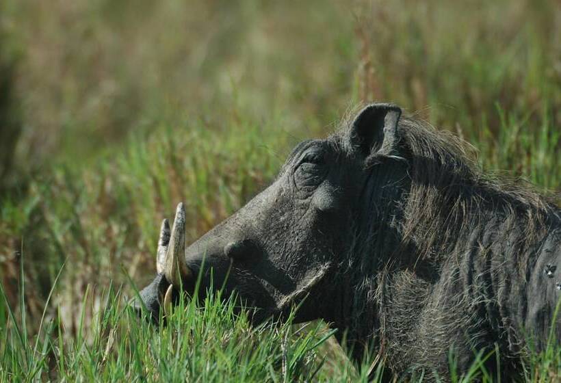 هتل Mara Intrepids Tented Camp