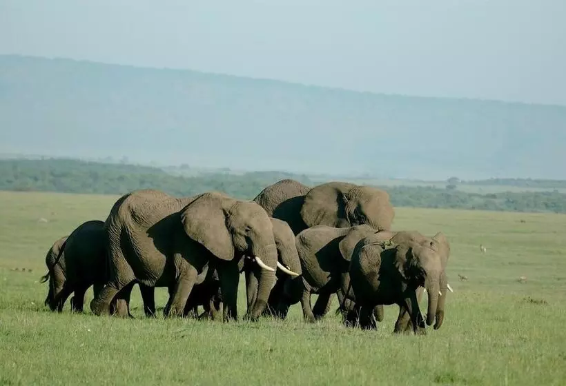 هتل Mara Intrepids Tented Camp