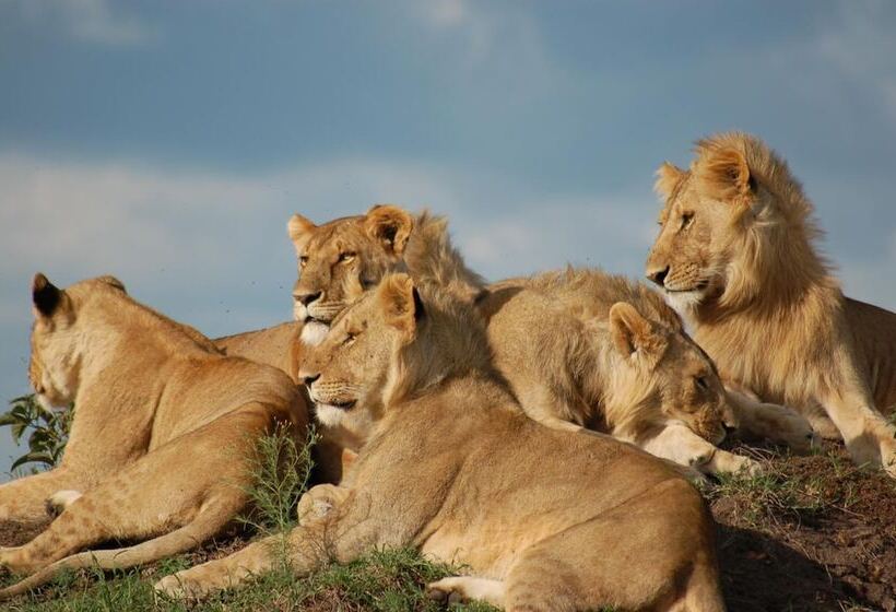 هتل Mara Intrepids Tented Camp