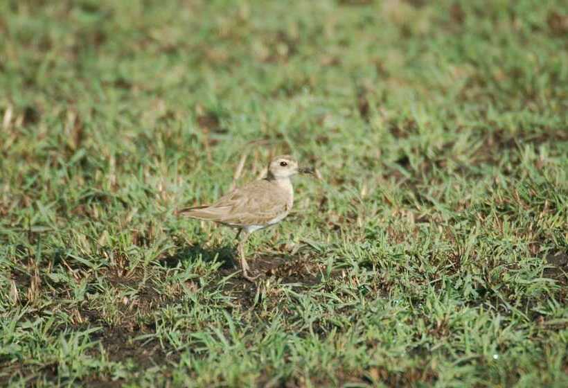 هتل Mara Intrepids Tented Camp