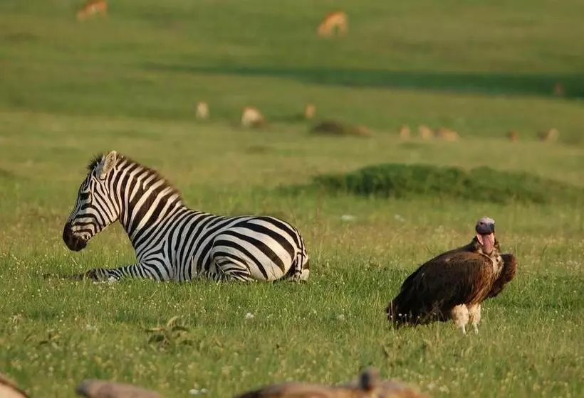 هتل Mara Intrepids Tented Camp