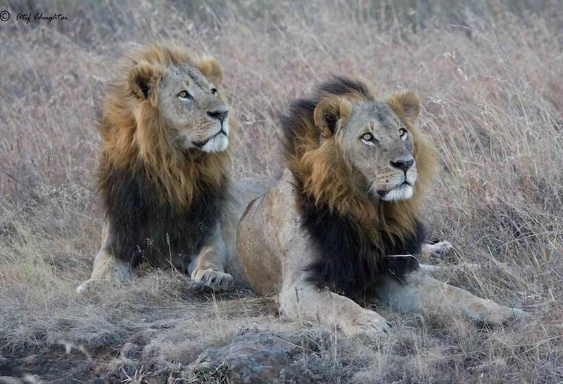 酒店 Bethel Homestay