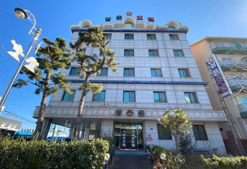 Hotel Boryeong Sameun