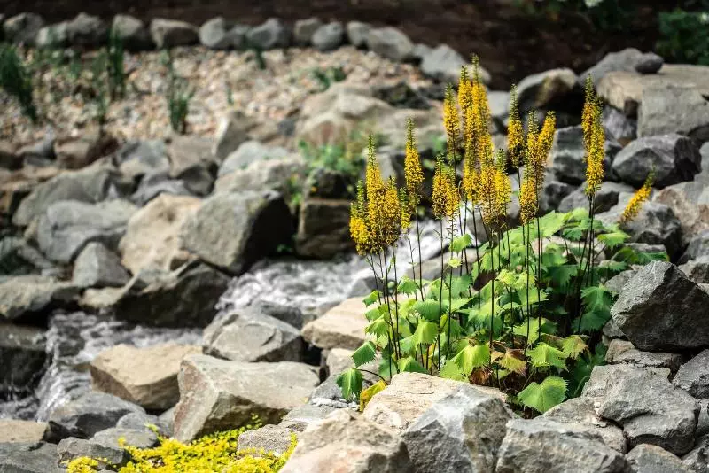 Hotelli Botaniq Castle Of Tura