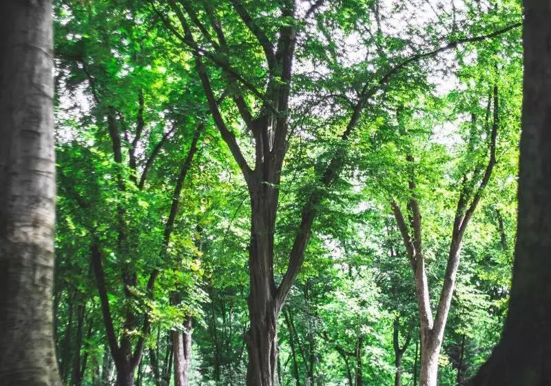 Hotelli Botaniq Castle Of Tura