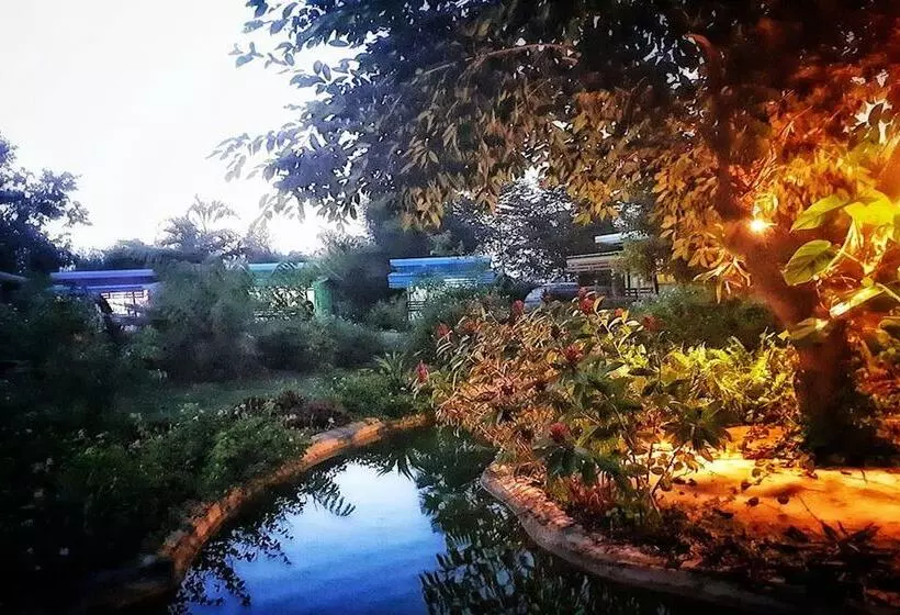 ホテル Chomnok Chommai Resort