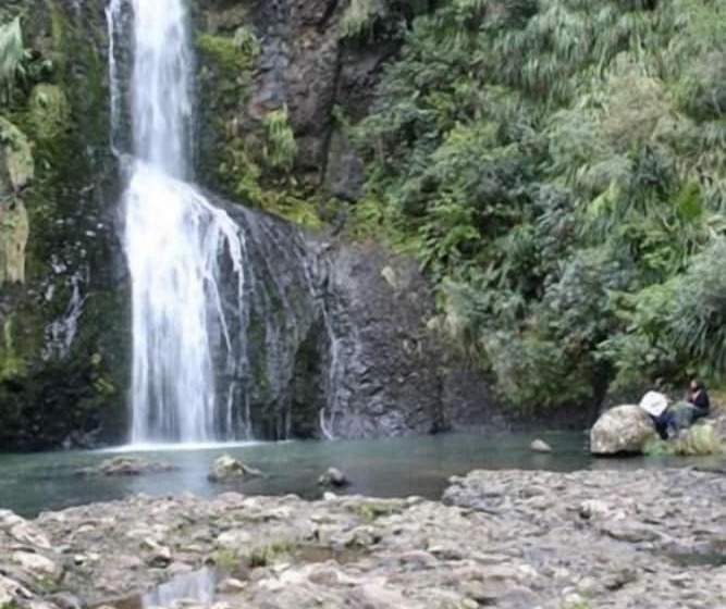 酒店 Piha Beachstay Accommodation