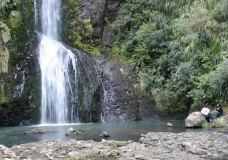 酒店 Piha Beachstay Accommodation