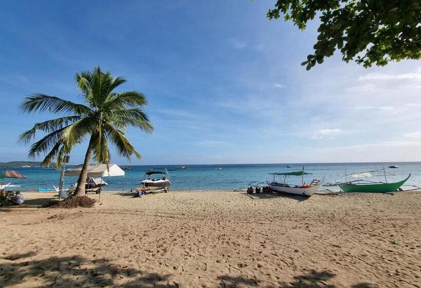 Yemaya De Laiya Powered By Cocotel