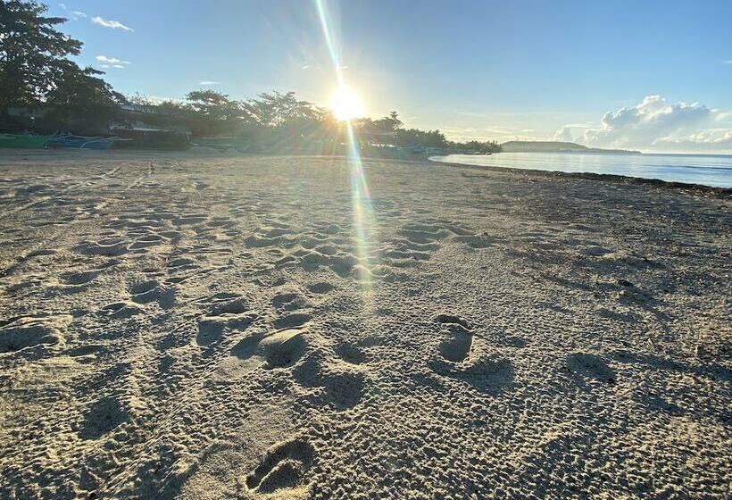 Yemaya De Laiya Powered By Cocotel