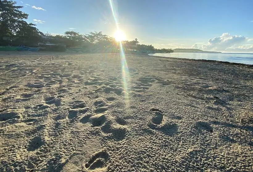 Yemaya De Laiya Powered By Cocotel