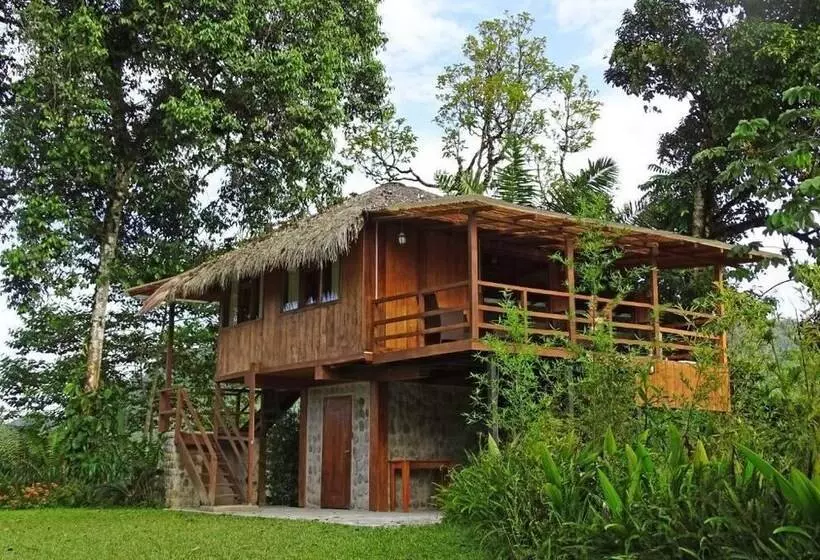 ホテル Terrabambu Lodge