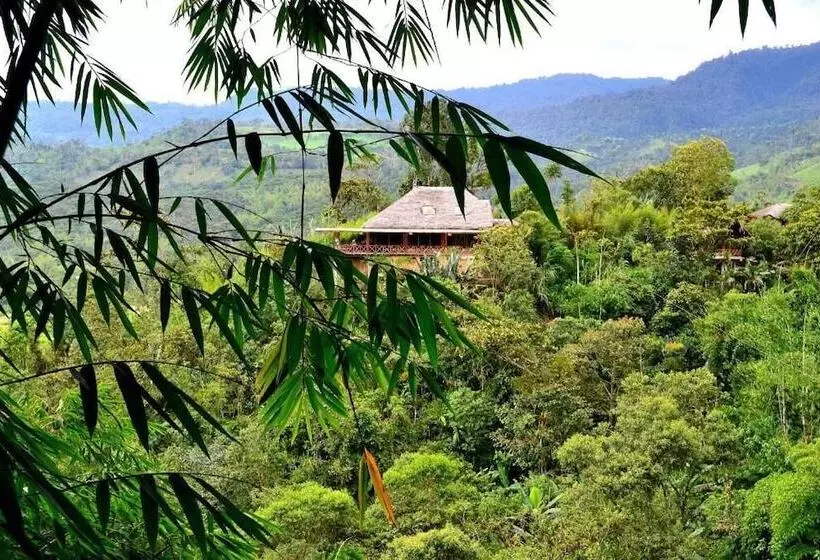 ホテル Terrabambu Lodge