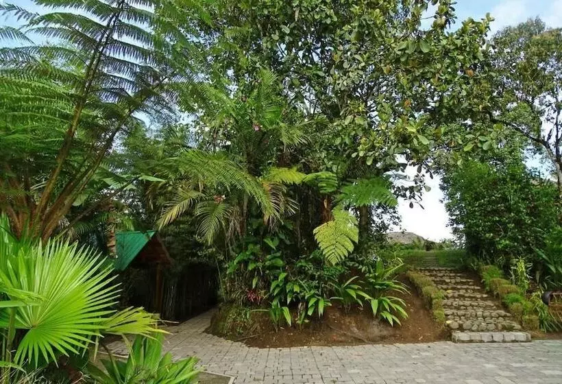 ホテル Terrabambu Lodge