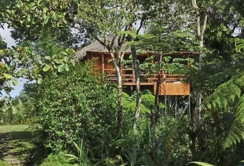 ホテル Terrabambu Lodge