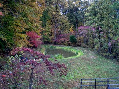 住宿加早餐 Lil Black Bear Inn