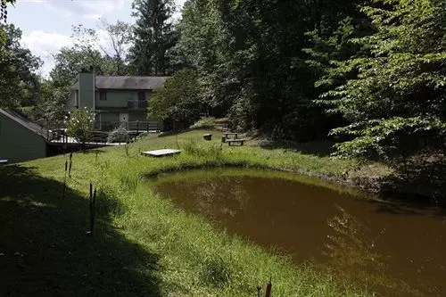 민박 Lil Black Bear Inn