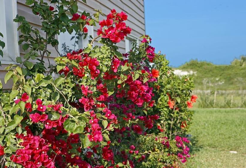 Beachfront Bed & Breakfast