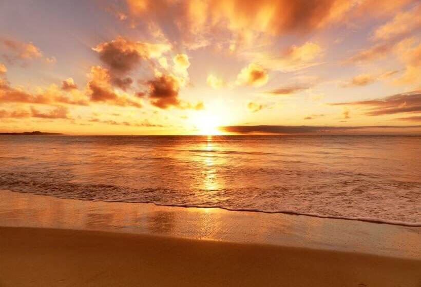 Beachfront Bed & Breakfast