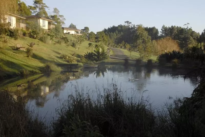 住宿加早餐 Bed Of Roses