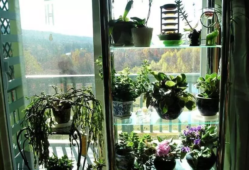 مبيت وإفطار Coppertoppe Inn & Retreat Center