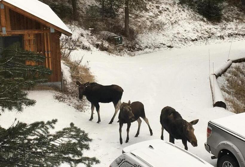 Bed and Breakfast Jackson Hole Hideout