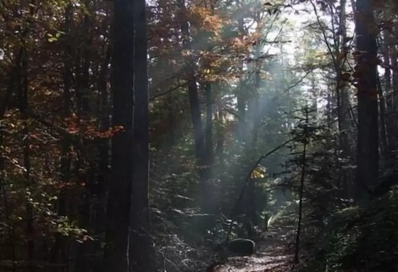 住宿加早餐  Auberge d'Hôtes l'Instant