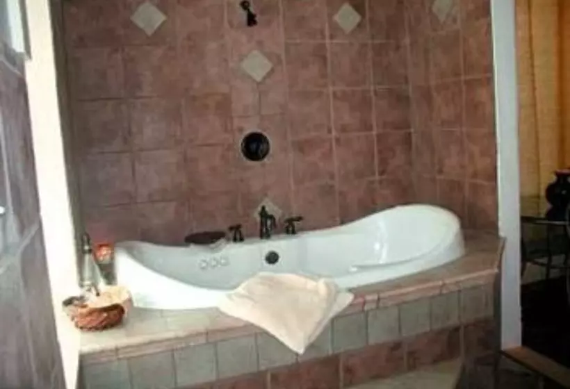 Bed and Breakfast The Solon Langworthy House