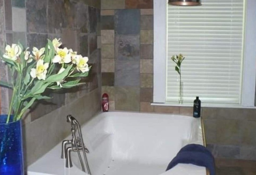 تختخواب و صبحانه The Solon Langworthy House