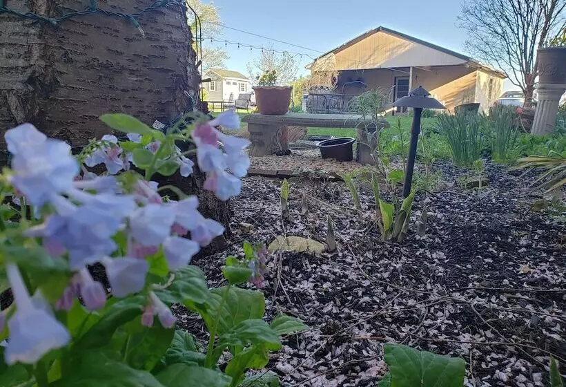 Harvest Moon Bed And Breakfast