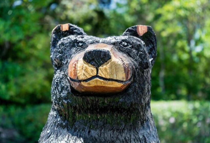 فندق Cinnamon Bear Creekside Inn