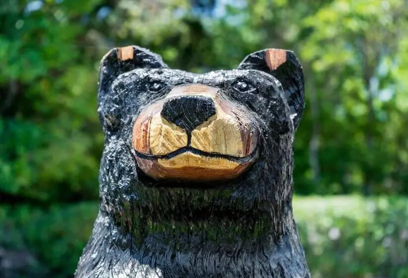 Отель Cinnamon Bear Creekside Inn