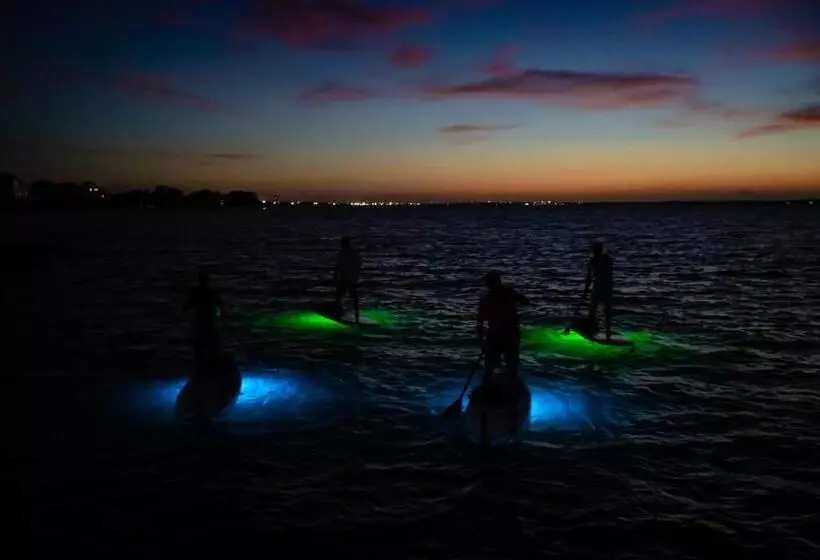 ホテル Portofino Island Resort