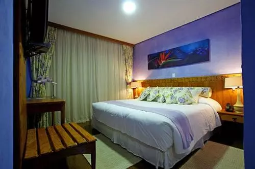 Отель Pousada Dotto Chateau