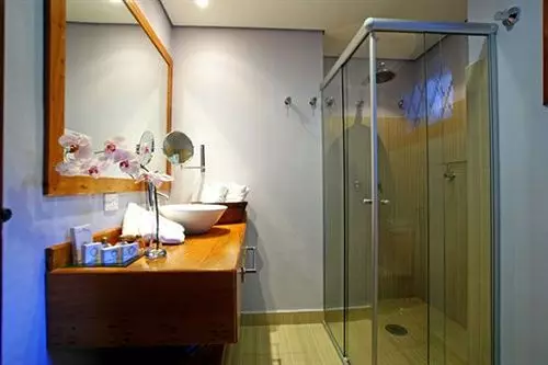 Отель Pousada Dotto Chateau