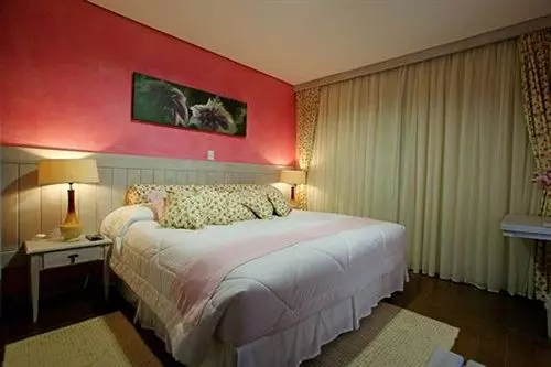 Отель Pousada Dotto Chateau