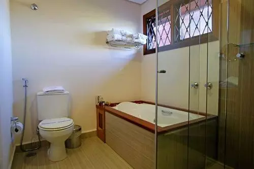 Отель Pousada Dotto Chateau