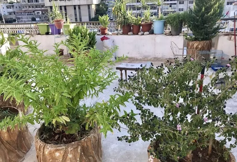 Sun Rise Hotel & Hostel & Tours