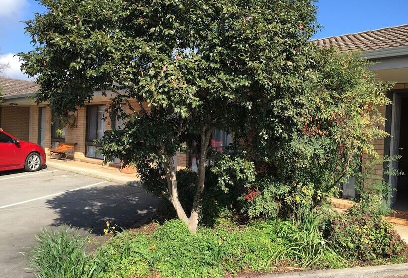 מוטל Albury Allawa Motor Inn