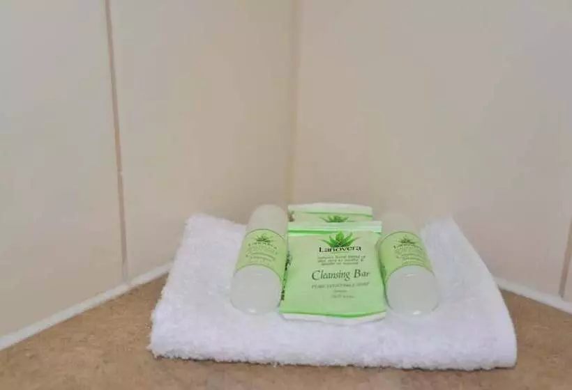 מוטל Albury Allawa Motor Inn