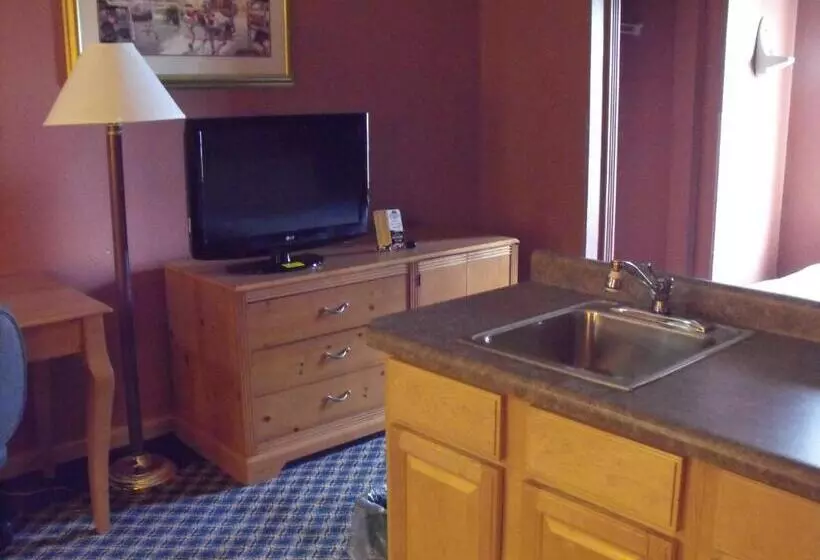 汽车旅馆  Americas Best Value Inn Three Rivers