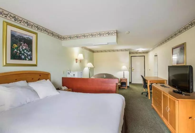 汽车旅馆  Americas Best Value Inn Three Rivers